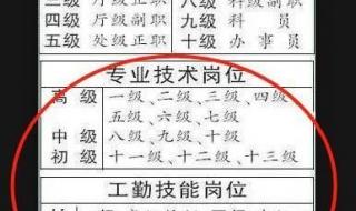六级职员相当于什么级别