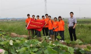 湖北经济学院法商学院