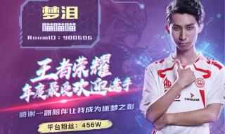 洛克王国怎么打哈迪斯