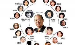 何鸿燊有几个子儿图片