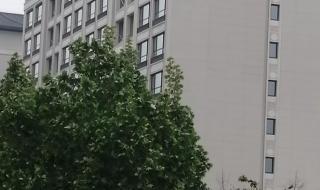 山东房价最便宜的县城