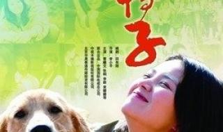 电视剧野鸭子剧情介绍