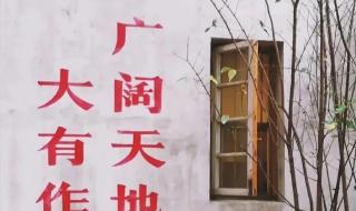 爱意随风起风止意难平