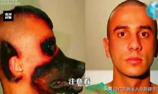 白天是狗晚上是狗老公