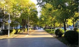 被学长抱到没人的地方