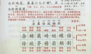 四年级下册语文第一课